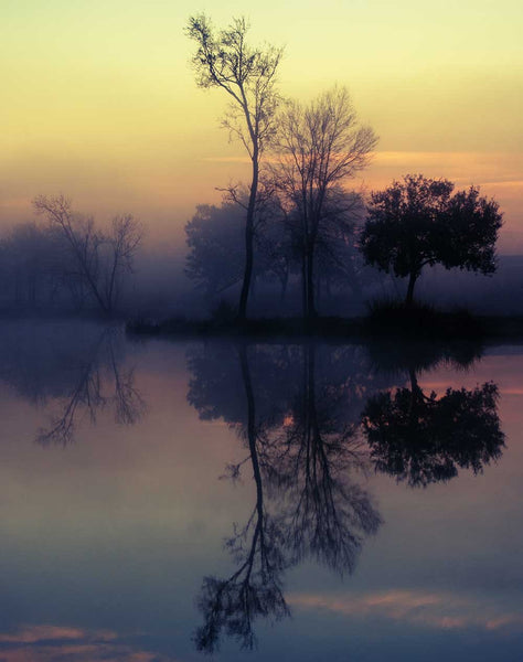 Foggy Lake Sunrise Louisiana Nature Wall Art Print -