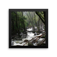 Foggy Mountain Forest - Framed Photo Print 10x10 Lost Kat Photography