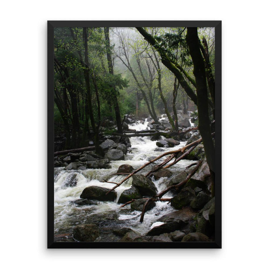 Foggy Mountain Forest - Framed Photo Print 8x10 Lost Kat Photography