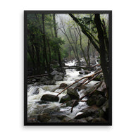 Foggy Mountain Forest - Framed Photo Print 8x10 Lost Kat Photography