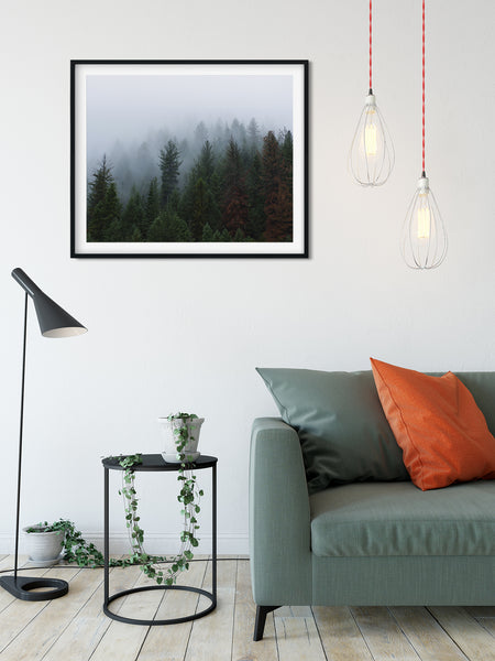 Foggy Forest North Idaho Wall Art Print - Photography