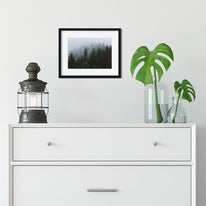 Foggy Forest North Idaho Wall Art Print - Photography