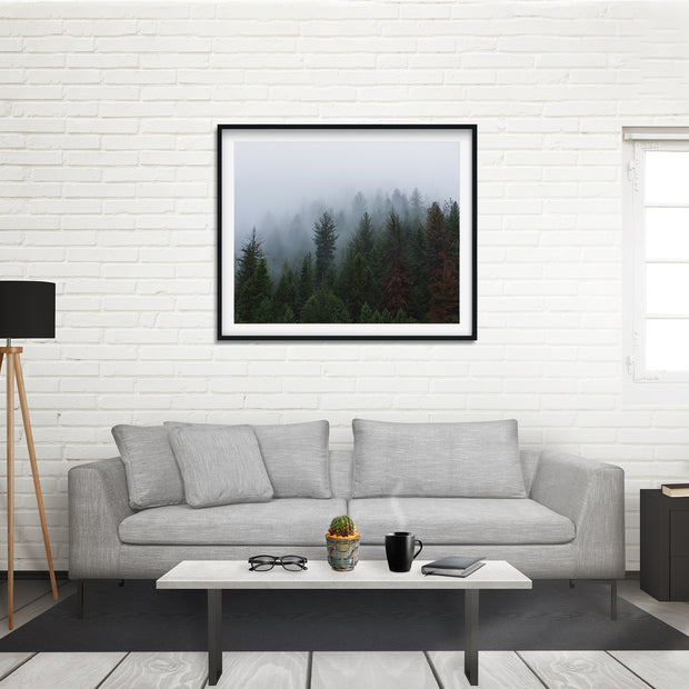 Foggy Forest North Idaho Wall Art Print - Photography