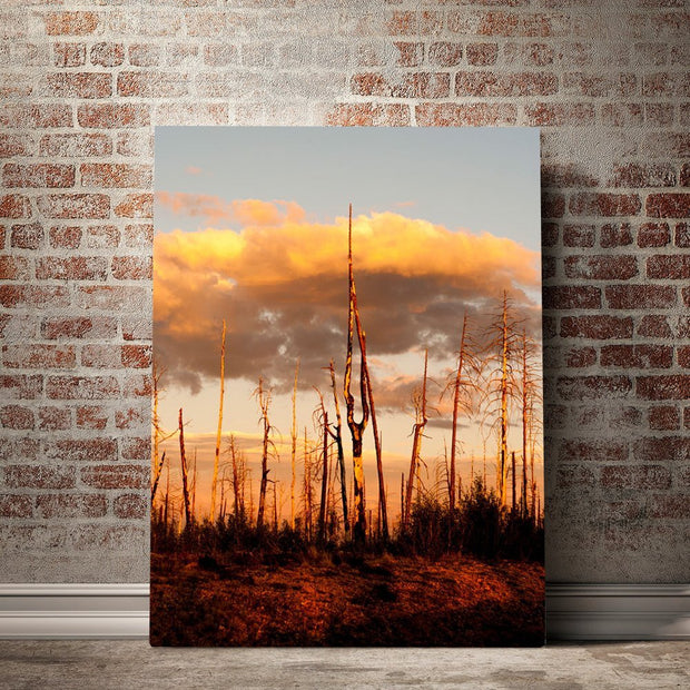 Forest Fire Sunset Nature Wall Art Print - Photography