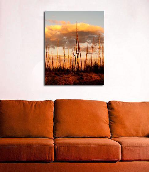 Forest Fire Sunset Nature Wall Art Print - Photography