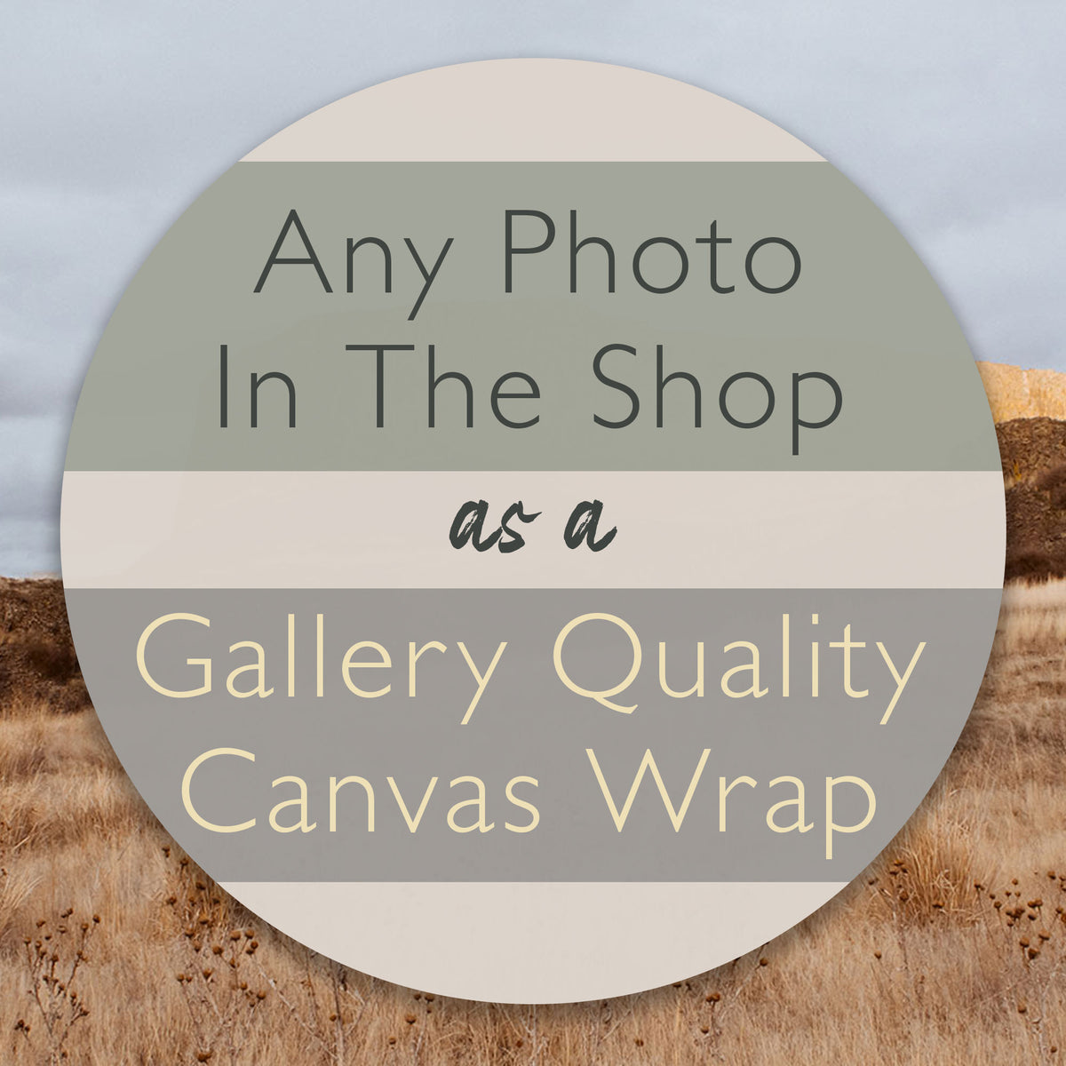 an image with the text "any photo in the shop as a gallery quality canvas wrap"