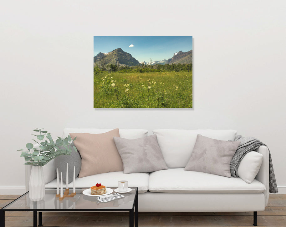 Mountain Meadow - Glacier National Park Photo Print -