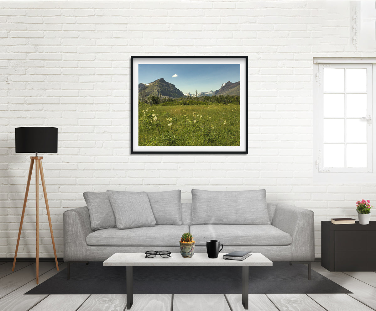 Mountain Meadow - Glacier National Park Photo Print -