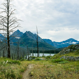 Hidden Valley Glacier National Park Wall Photo Print -