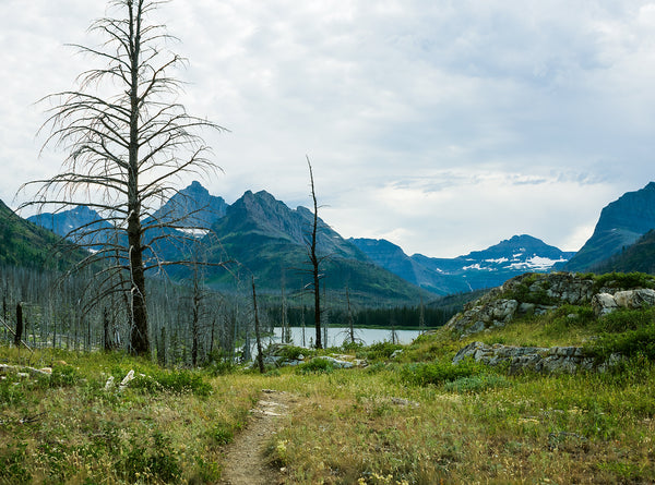 Hidden Valley Glacier National Park Wall Photo Print -