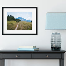 Montana Meadow Trail Photo Print Glacier NP Wildflowers