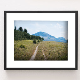 Montana Meadow Trail Photo Print Glacier NP Wildflowers