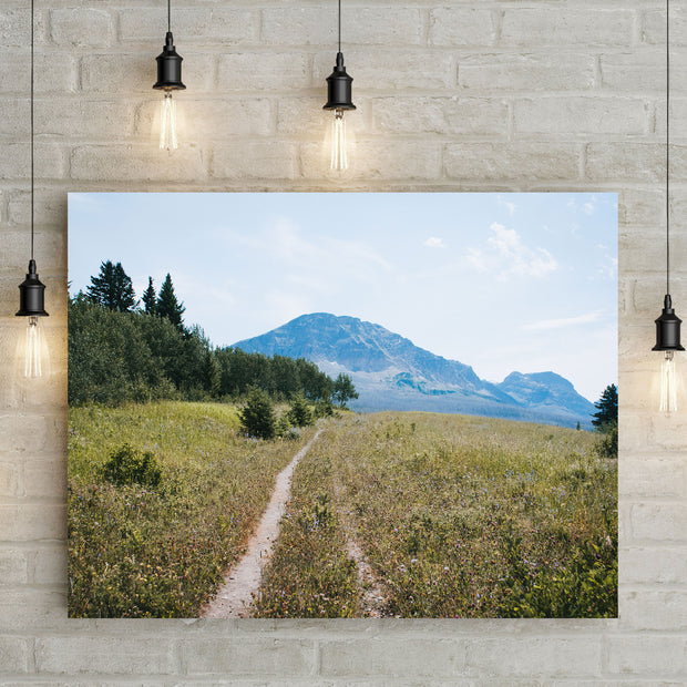 Montana Meadow Trail Photo Print Glacier NP Wildflowers
