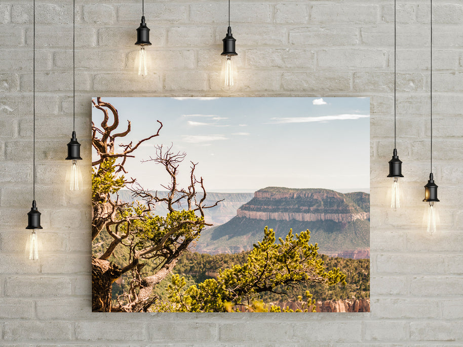 North Rim Grand Canyon Photo Print - Photography