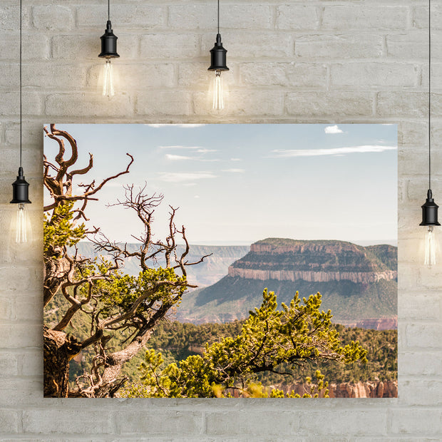 North Rim Grand Canyon Photo Print - Photography