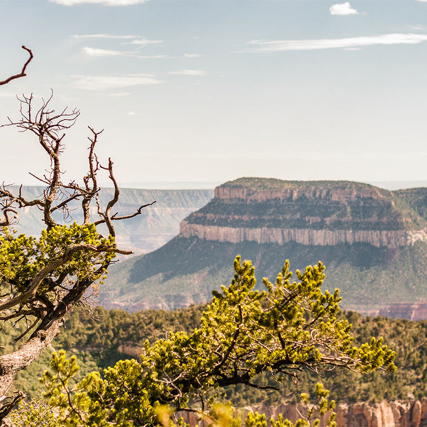 North Rim Grand Canyon Photo Print - Photography