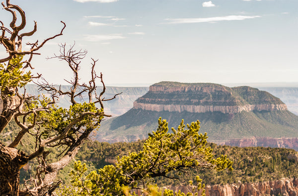North Rim Grand Canyon Photo Print - Photography