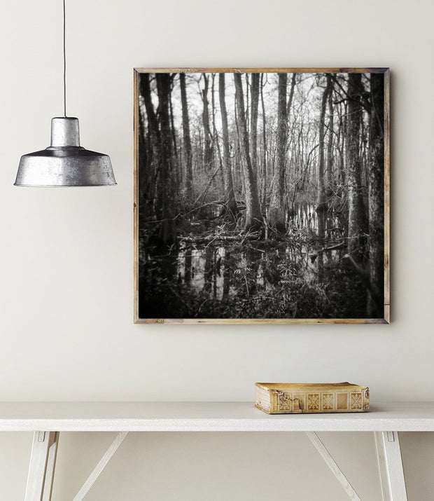 Haunted Swamp, Holga Print Lost Kat Photography