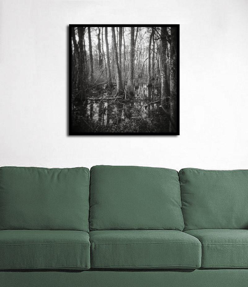 Haunted Swamp, Holga Print Lost Kat Photography