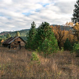 Idaho Homestead Rustic Cabin Art Print - Photography
