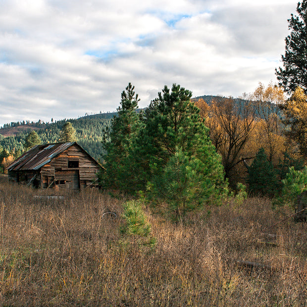 Idaho Homestead Rustic Cabin Art Print - Photography