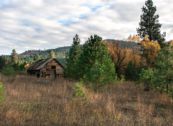 Idaho Homestead Rustic Cabin Art Print - Photography