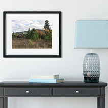 Idaho Homestead Rustic Cabin Art Print - Photography