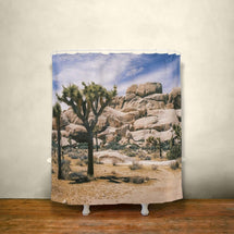 Joshua Tree Desert Shower Curtain 71x74 inch - in