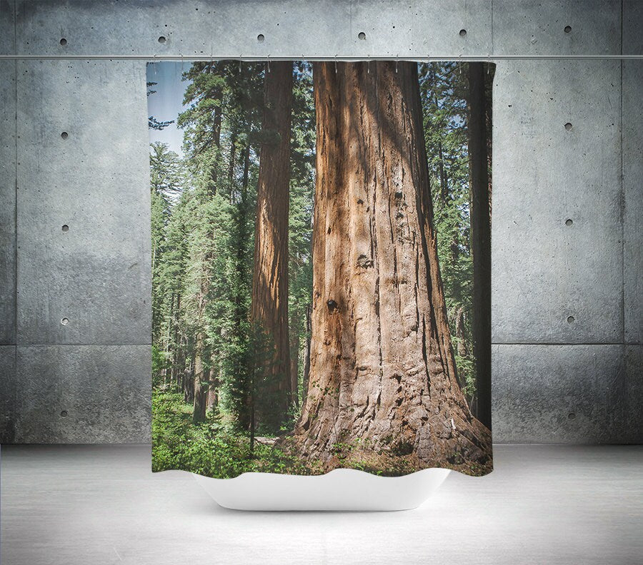 Redwood Forest Shower Curtain 71x74 inch - Sequoia Trees