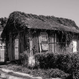 Black and White New Orleans Photography Urban Decay