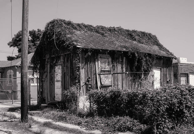 Black and White New Orleans Photography Urban Decay