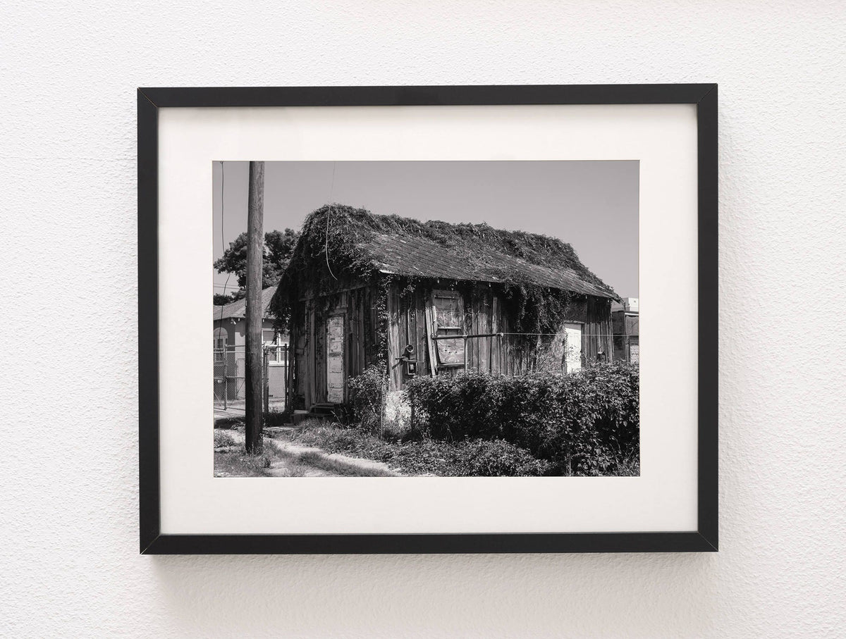 Black and White New Orleans Photography Urban Decay