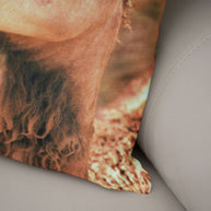 Funny Camel Throw Pillow Cover - Pillows