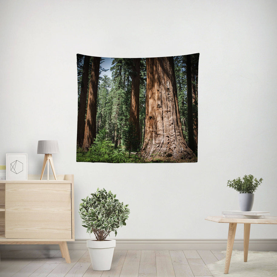Giant Sequoia Trees Wall Tapestry - 36x26 - Decorative