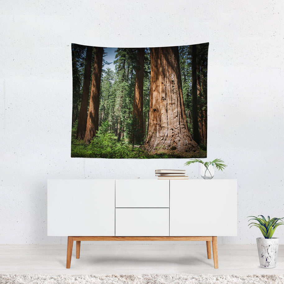 Giant Sequoia Trees Wall Tapestry - 60x51 - Decorative