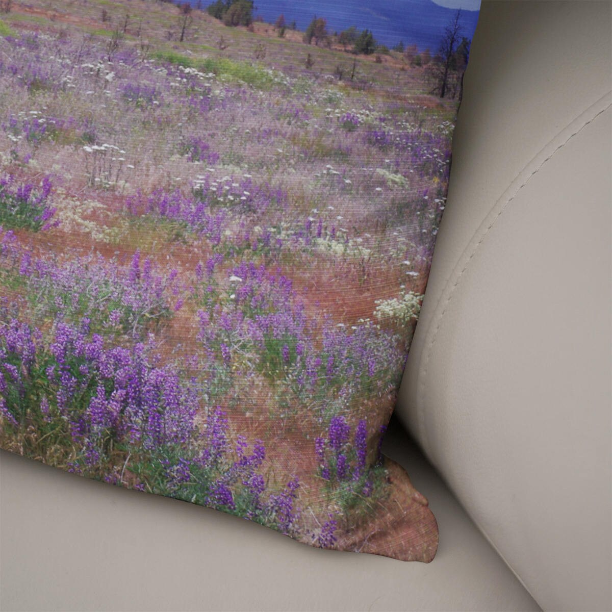 Mt Hood Mountain Couch Cushion Pillow Cover Nature Throw -