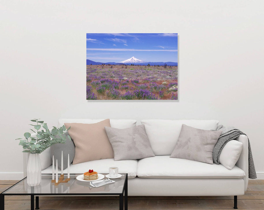 Mt Hood Mountain Photography Oregon Landscape