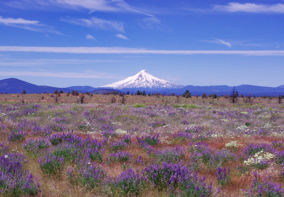 Mt Hood Mountain Photography Oregon Landscape