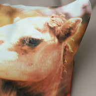 Funny Camel Throw Pillow Cover - Pillows