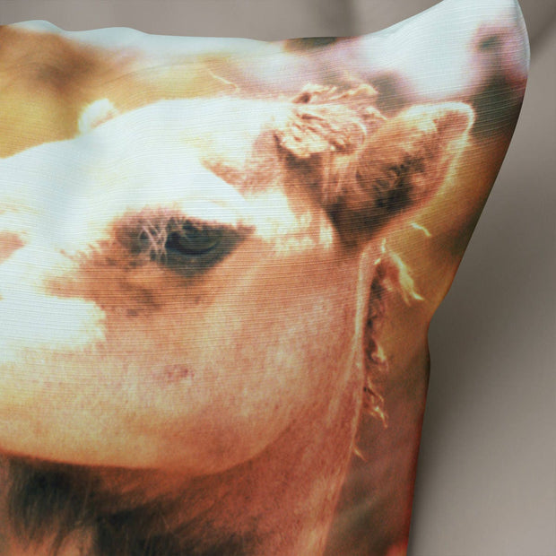 Funny Camel Throw Pillow Cover - Pillows