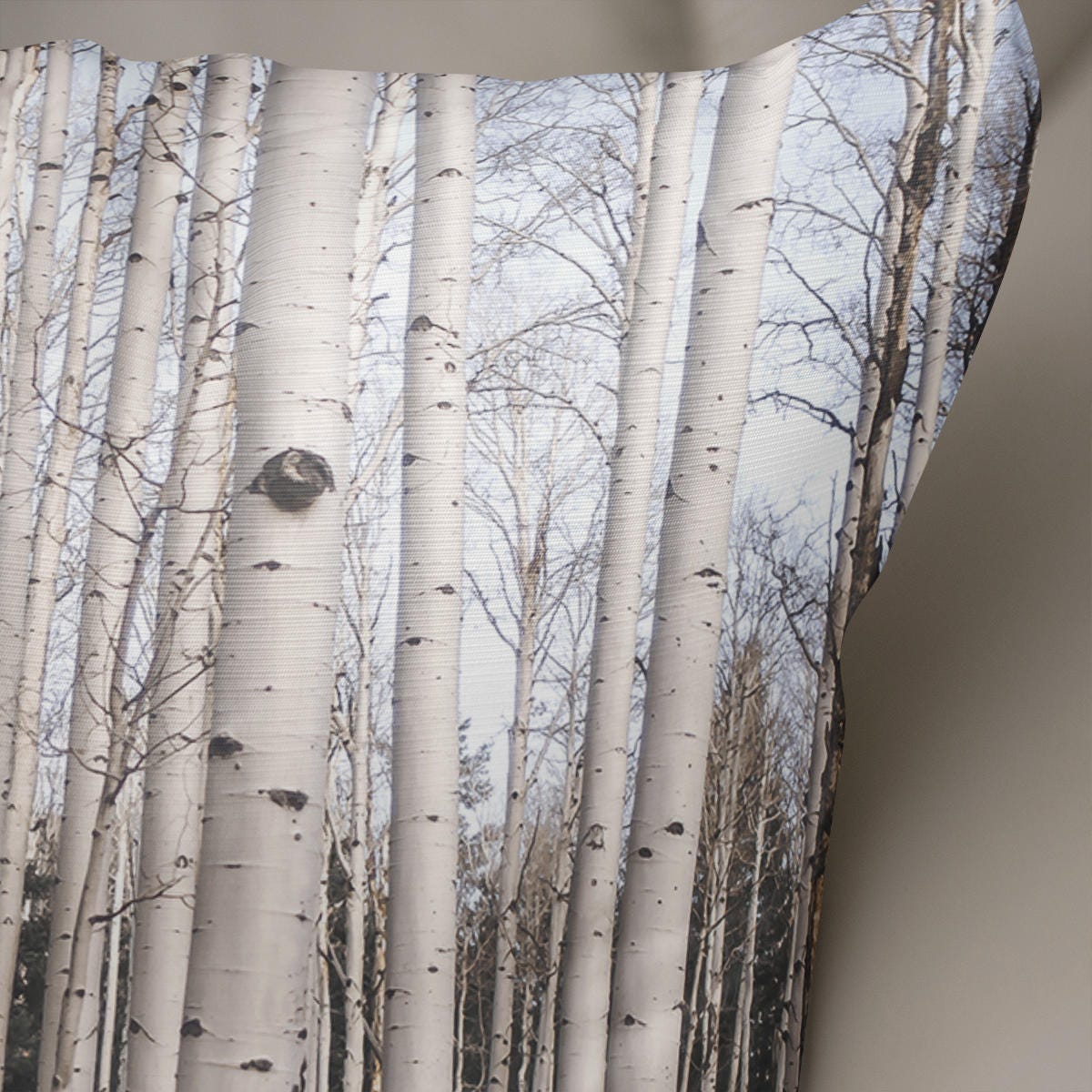 Trees Of Reason Birch Forest Throw Pillow Cover Rustic
