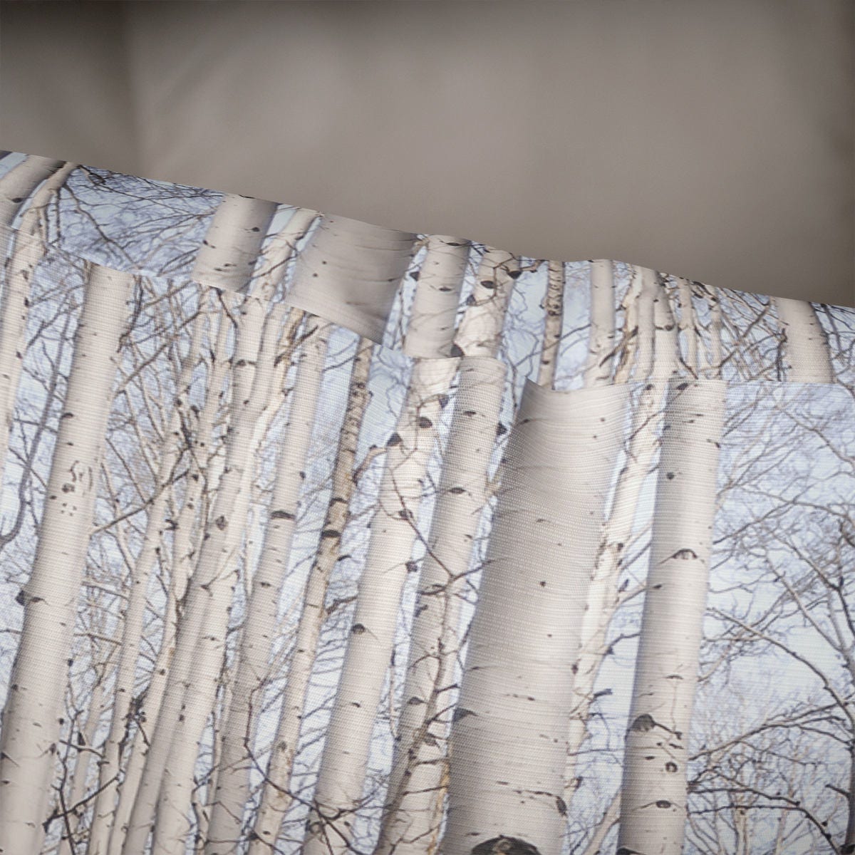 Trees Of Reason Birch Forest Throw Pillow Cover Rustic