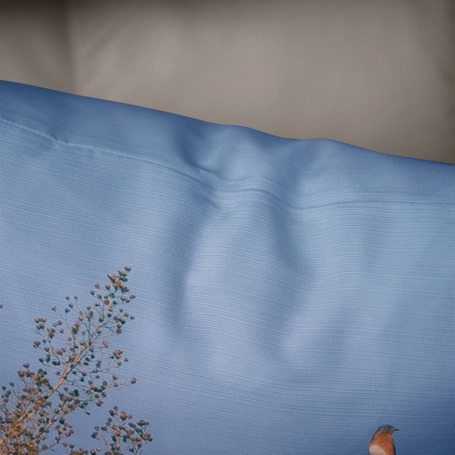 Bluebird Throw Pillow Cover Nature Decor Bird Watcher Gift -