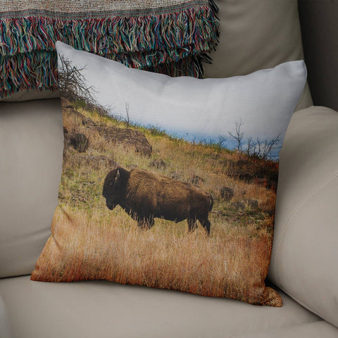 Bison Throw Pillow Cover Rustic Decor Wichita Mountains