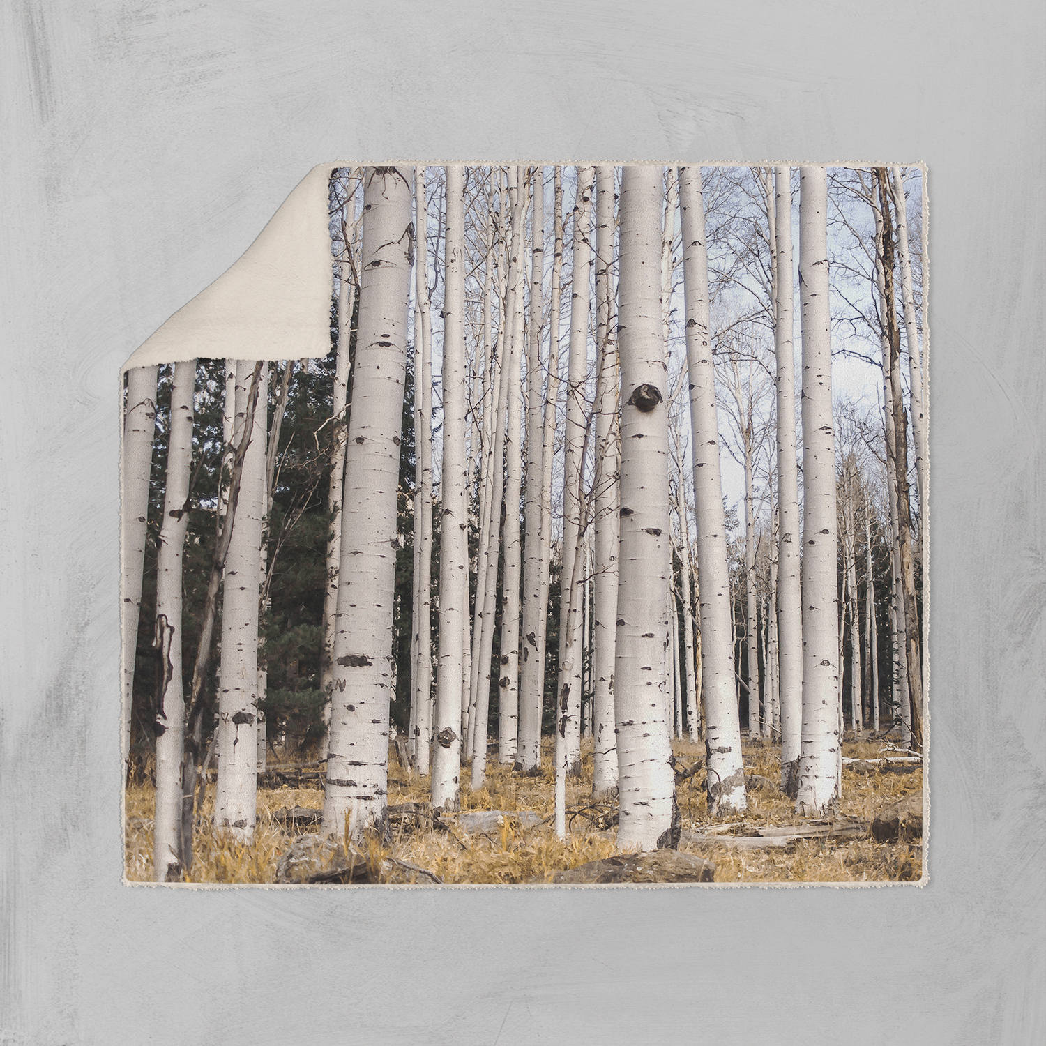 Birch Trees Sherpa Fleece Throw Blanket Vegan - 2 Sizes -
