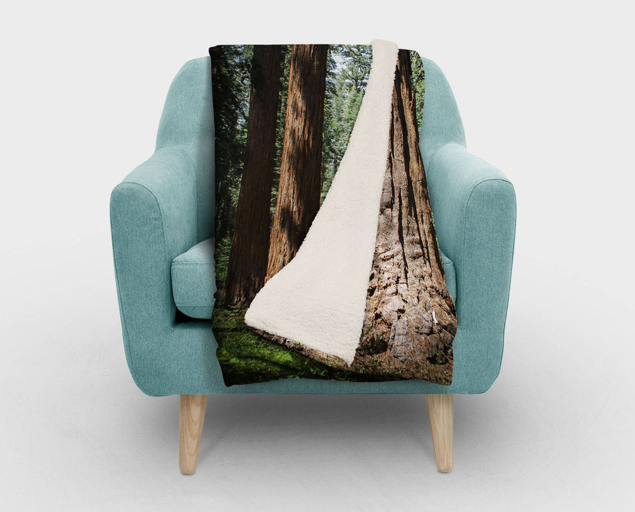 Fleece Throw Redwood Forest Sherpa Blanket California Gift