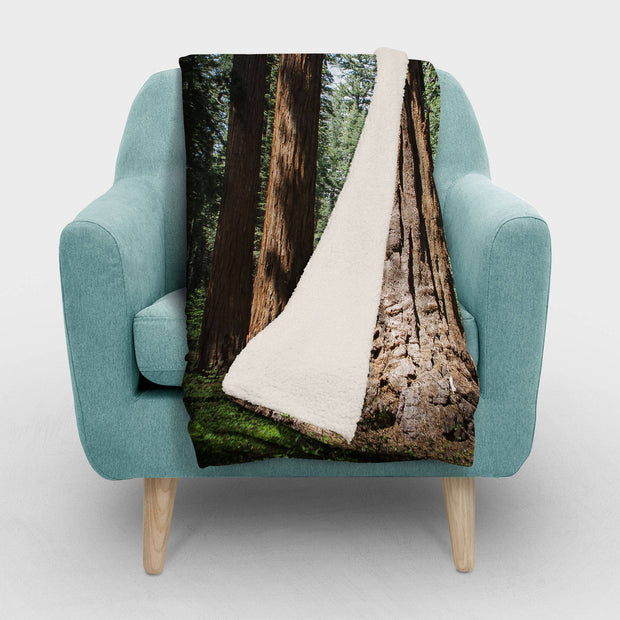 Fleece Throw Redwood Forest Sherpa Blanket California Gift