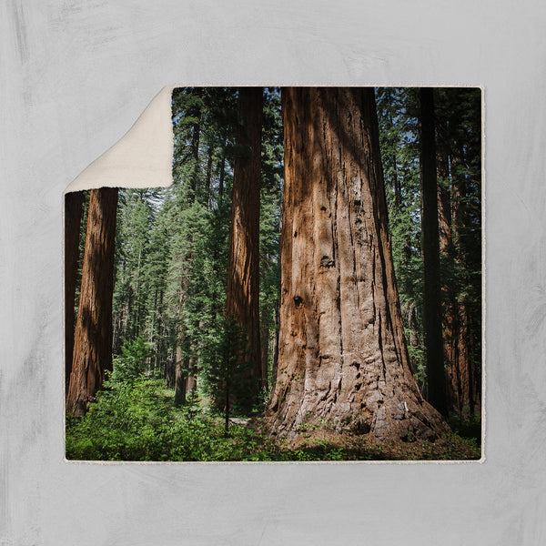 Fleece Throw Redwood Forest Sherpa Blanket California Gift