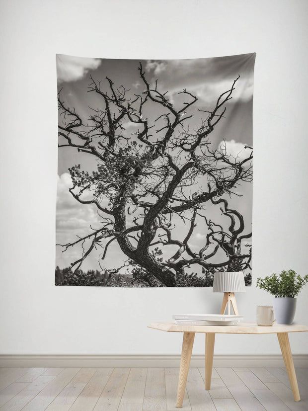 Southwest Desert Tree Branches Wall Tapestry - Decorative