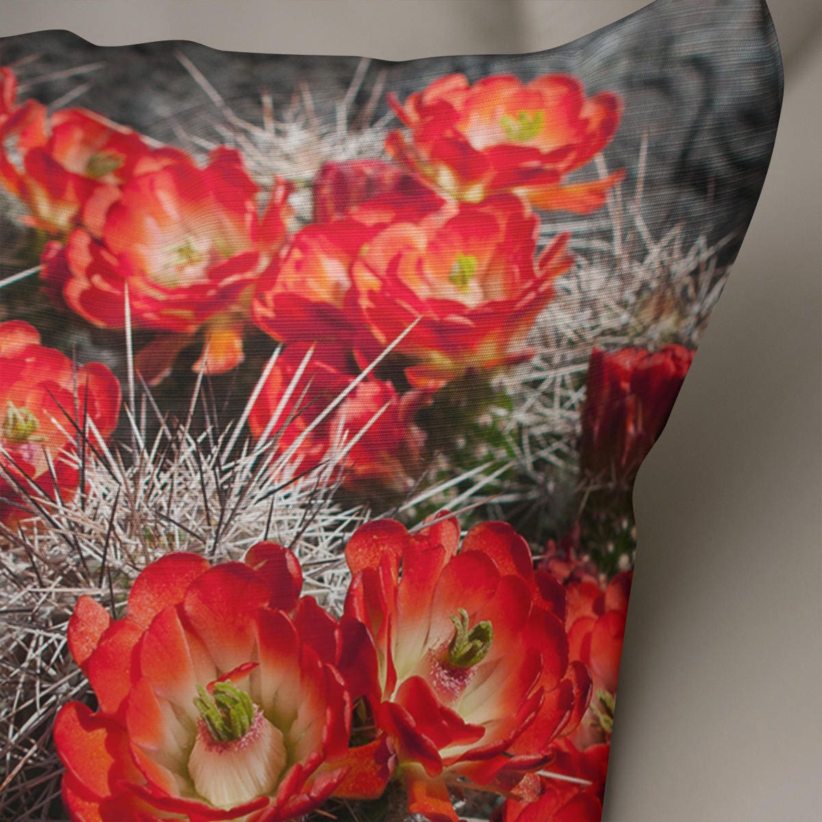 Black and Red Cactus Flowers Throw Pillow Cover - Pillows